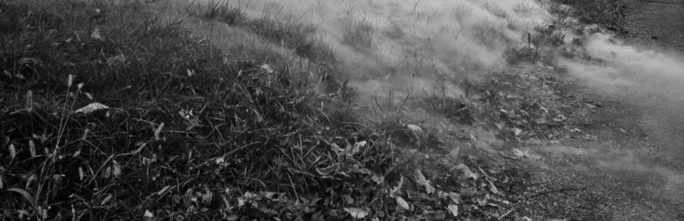 foggybackground scaled 20 768x248